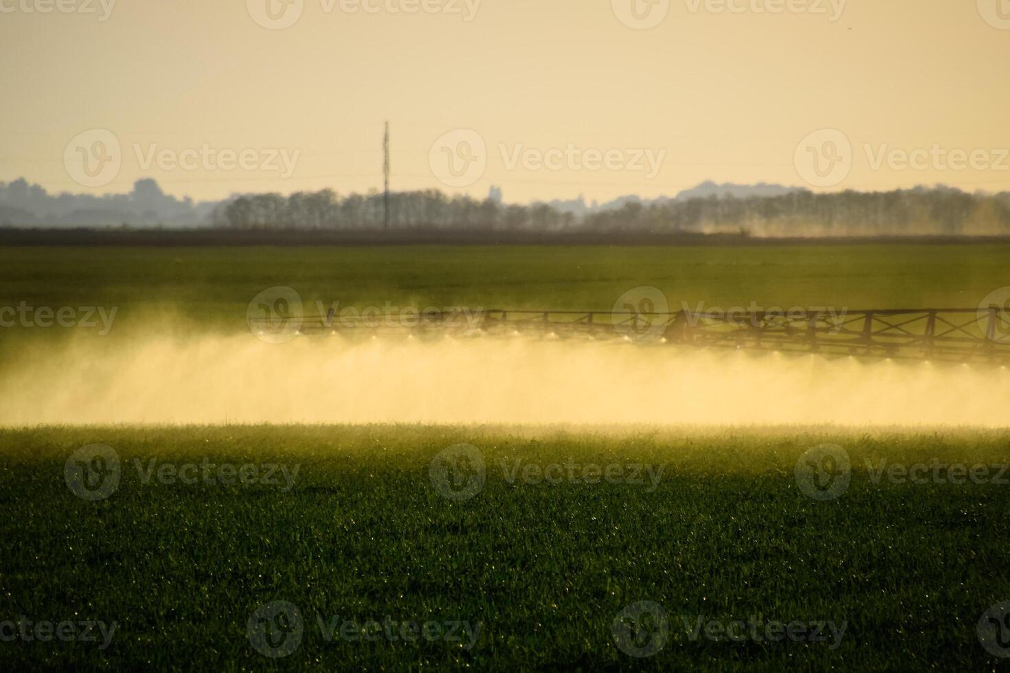 jatos do líquido fertilizante a partir de a trator pulverizador. foto