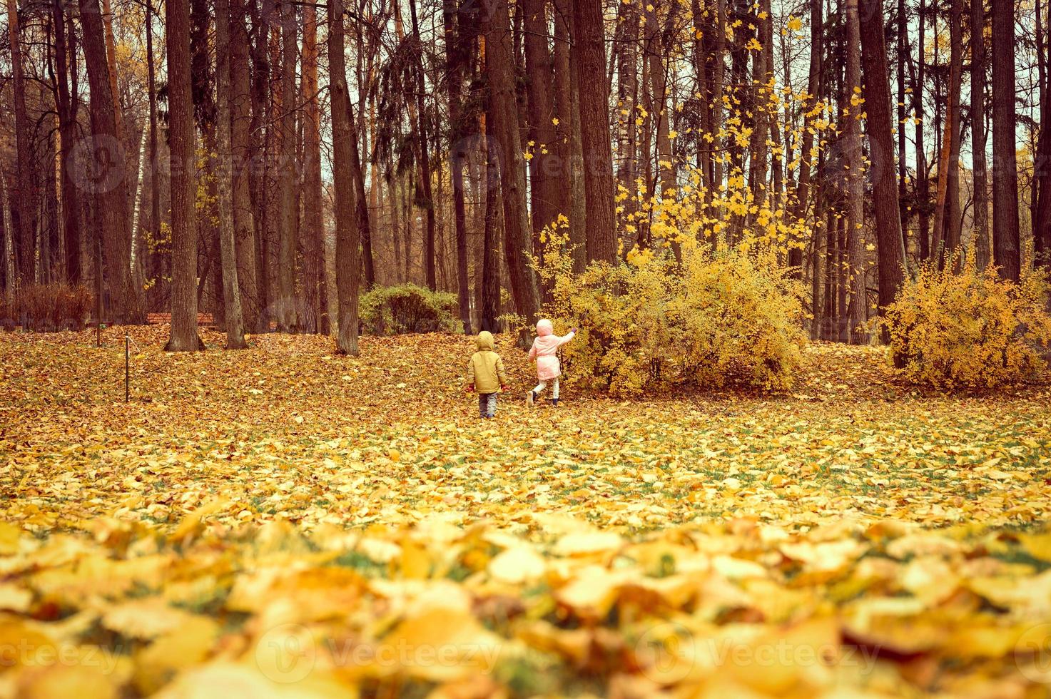 pessoas outono outono parque floresta dourada foto