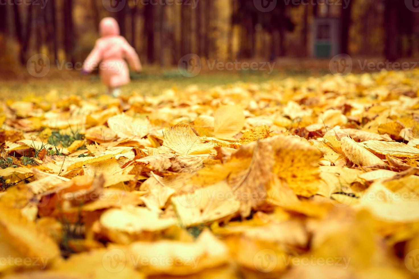 correndo, caminhando, menina, criança, em, um, parque outono foto