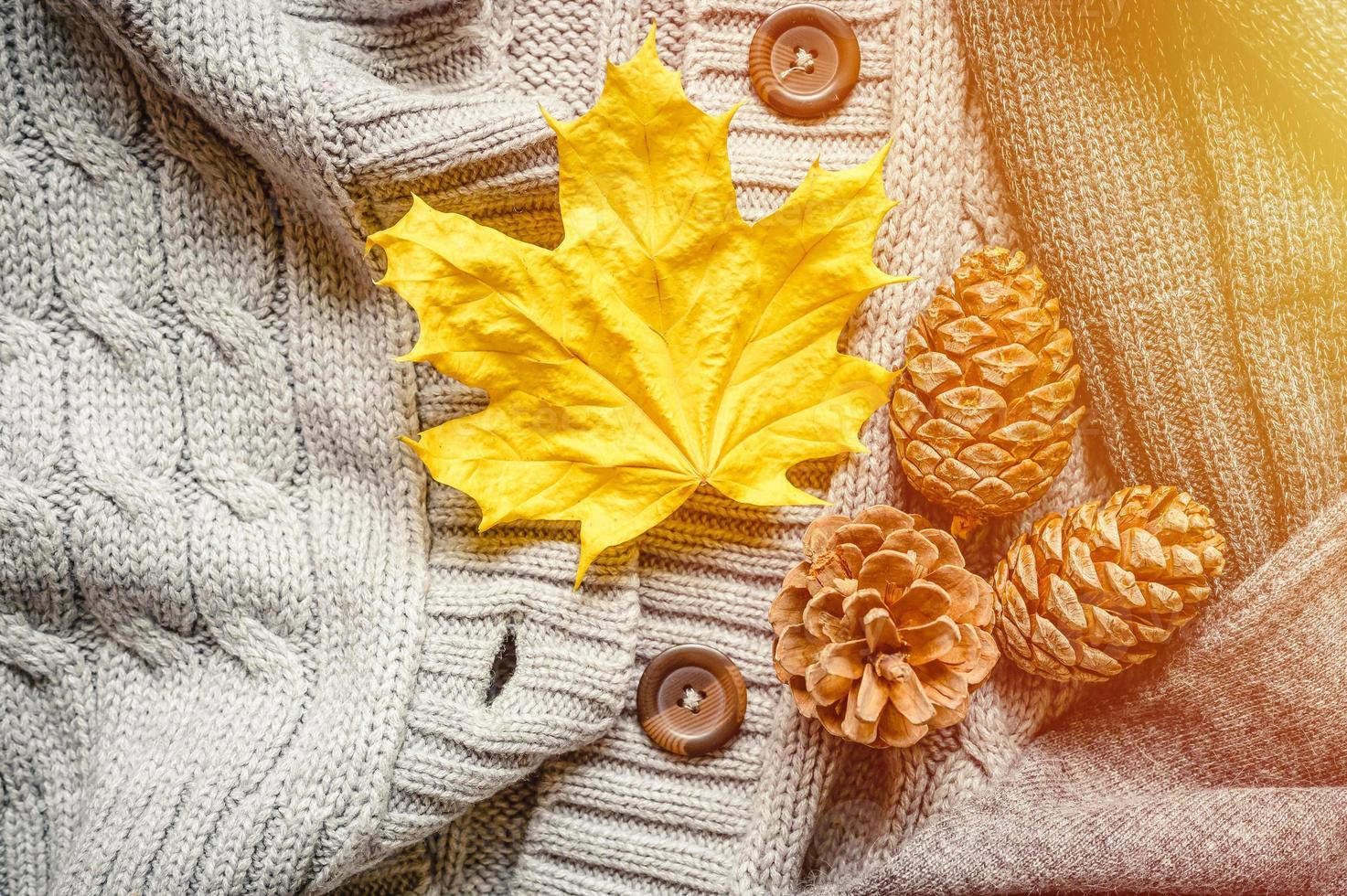 Outono folhas amarelas e vermelhas de bordo e cereja, e três castanhas estão localizadas no fundo de um aconchegante suéter cinza de malha foto