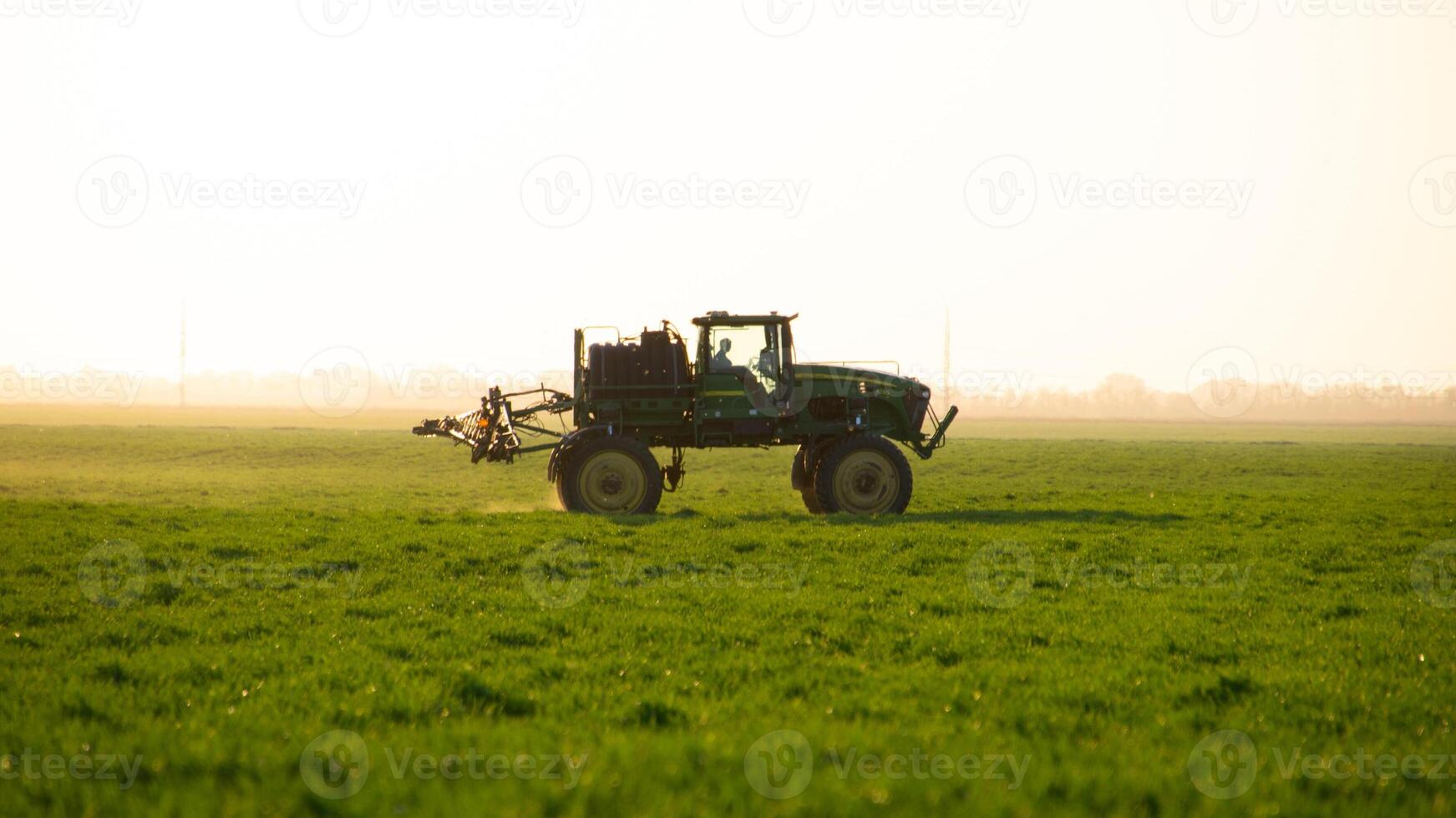 trator em a pôr do sol fundo. trator com Alto rodas é fazer fertilizante em jovem trigo. foto