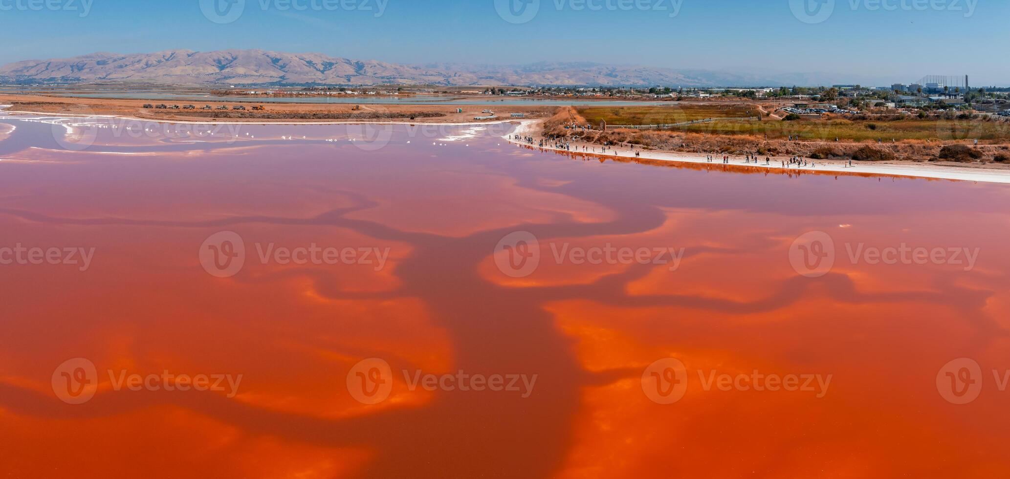 Rosa sal lagoas às Alviso marina município parque foto