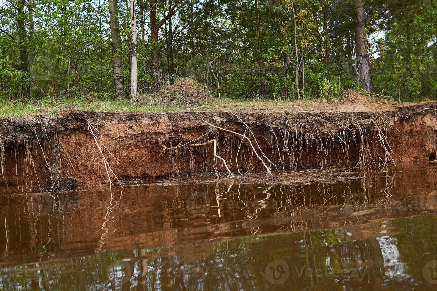 argiloso banco do a rio é lavado longe de água durante inundações foto