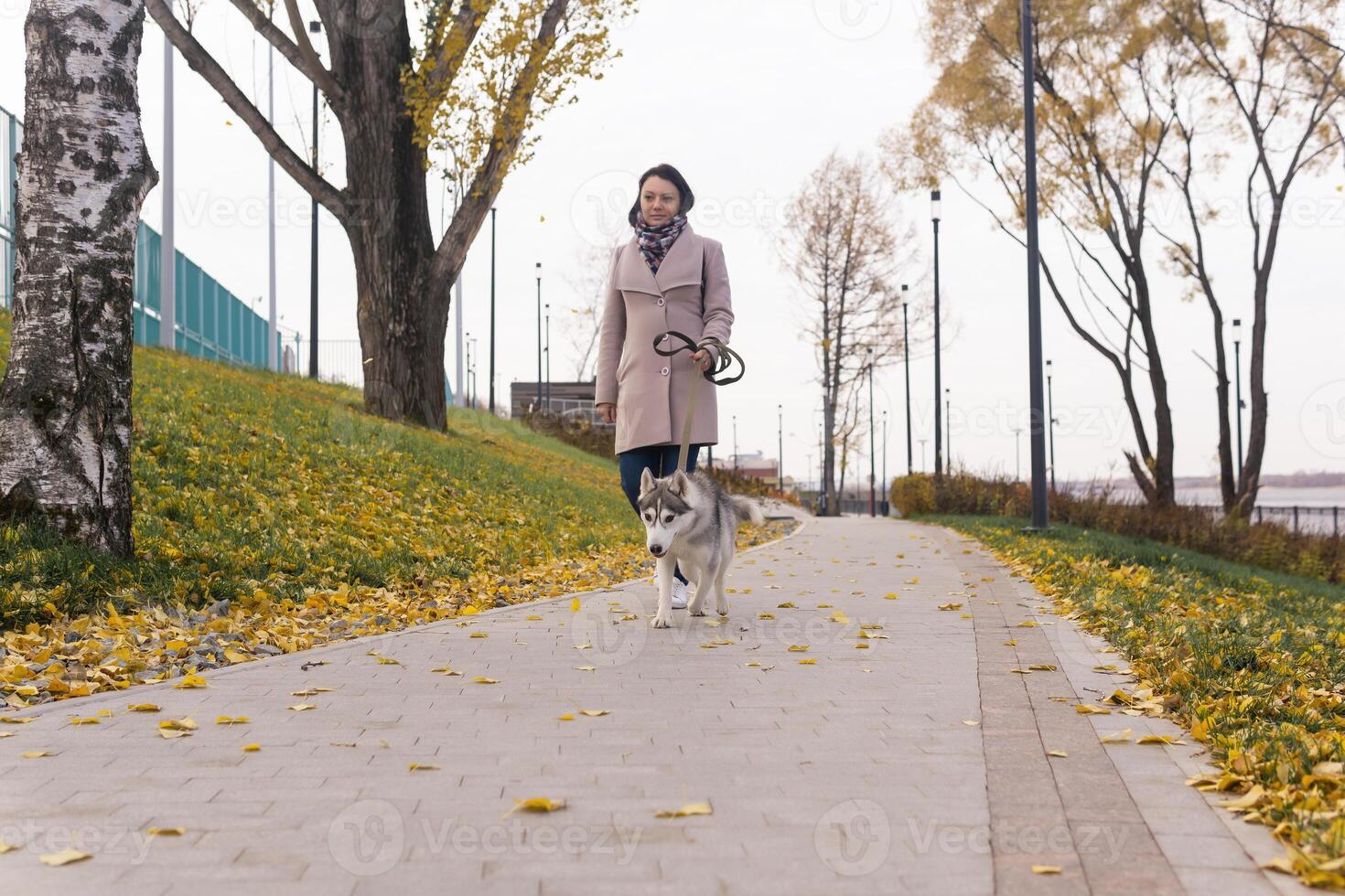 mulher com cachorro caminhando dentro a outono parque foto