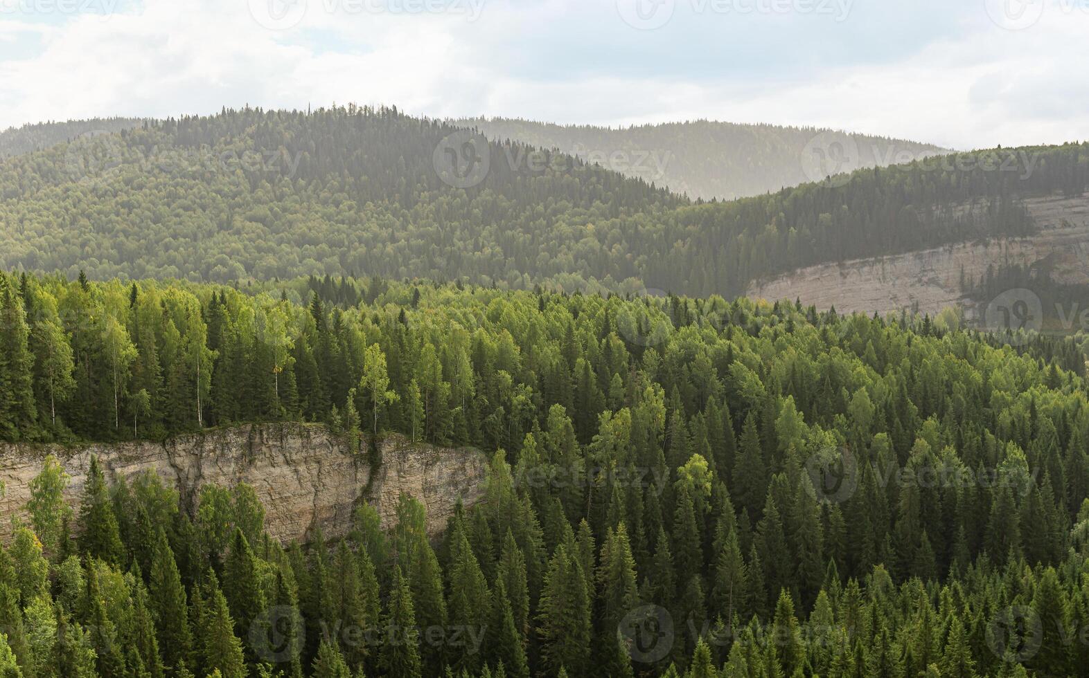 arborizado montanhoso panorama com pedras este assemelhar-se ondas foto