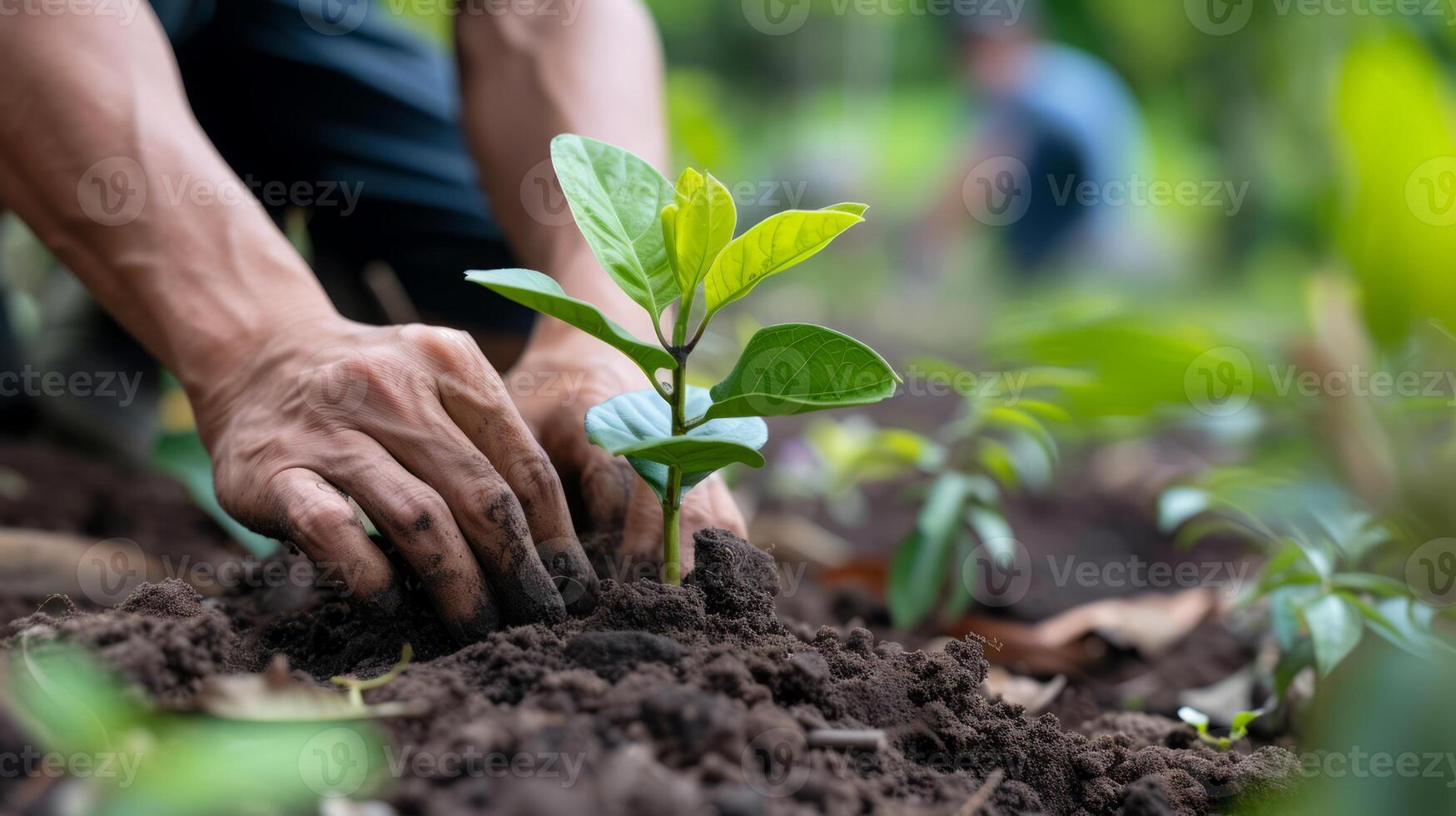 ai gerado comunidade iniciativas experiência a poder do comunidade conduziu iniciativas este esforçar para faço uma diferença. árvore plantio eventos estão a global missão para proteger nosso meio Ambiente foto