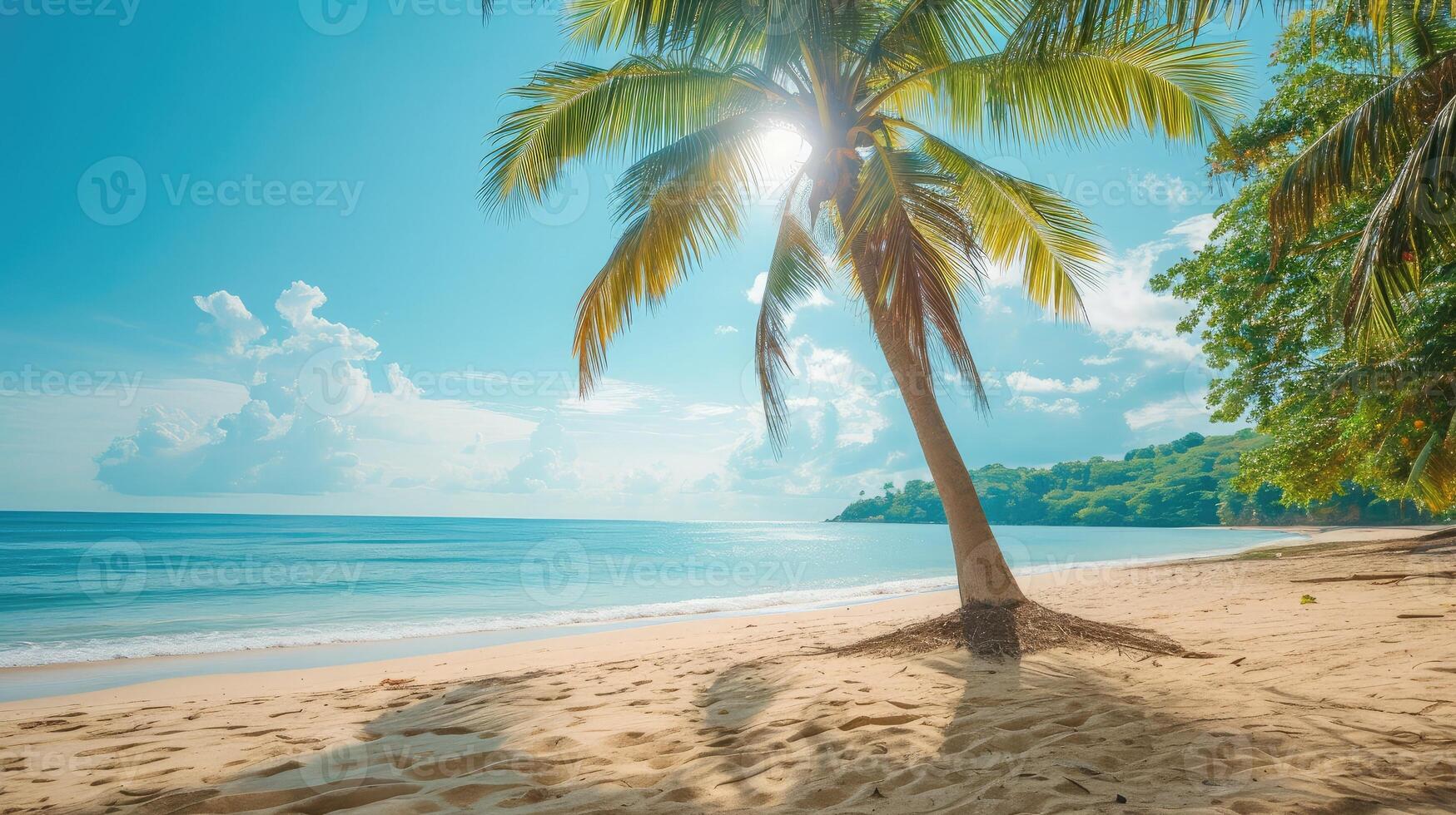 ai gerado coco árvore ou Palma árvore em a de praia. foto