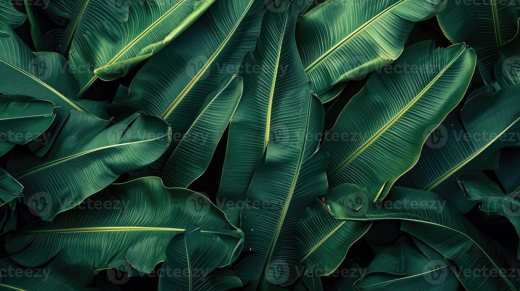 ai gerado folhas do banana, abstrato verde Sombrio textura, natureza fundo, tropical folha foto