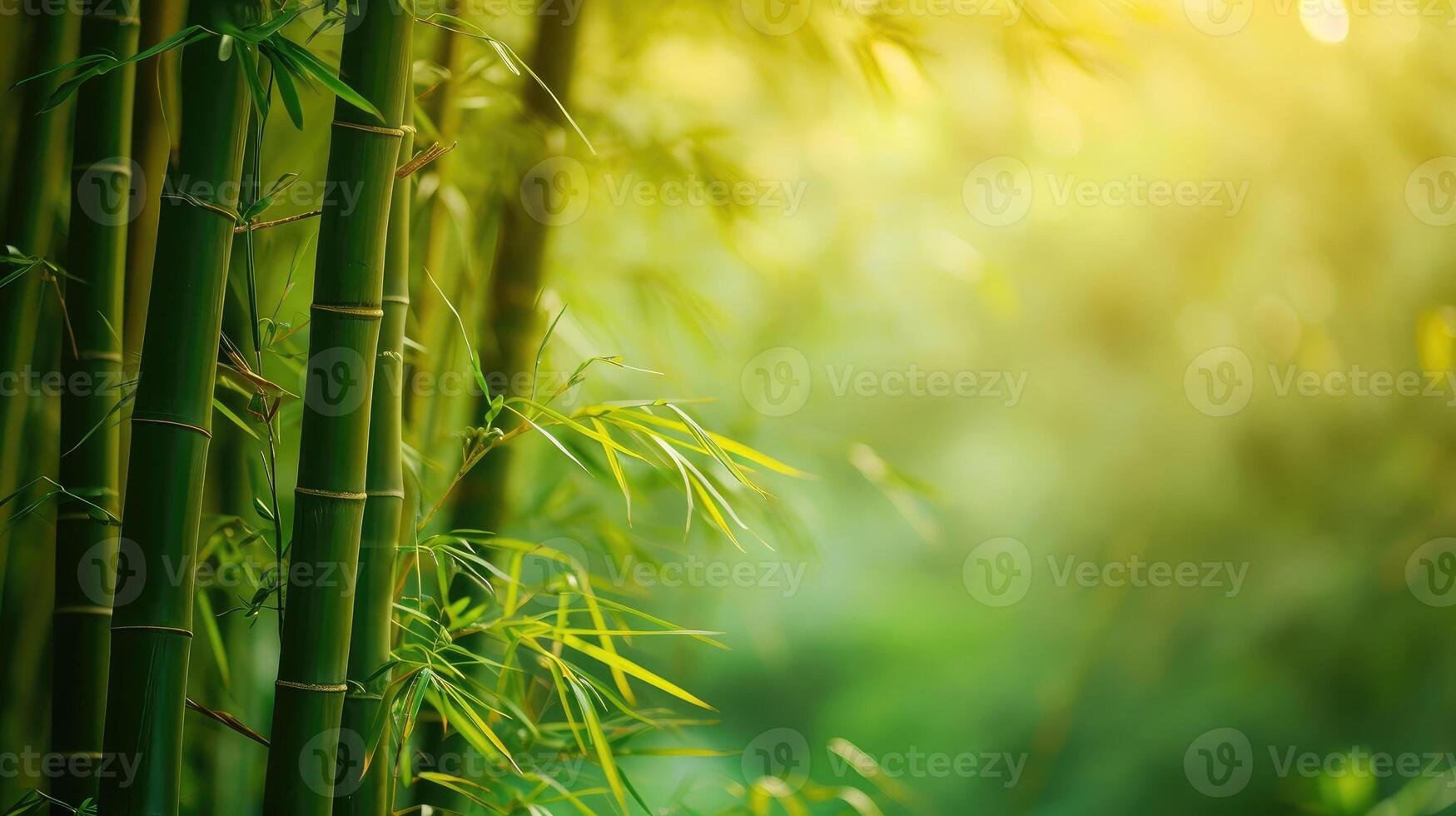ai gerado bambu verde floresta natureza fundo foto