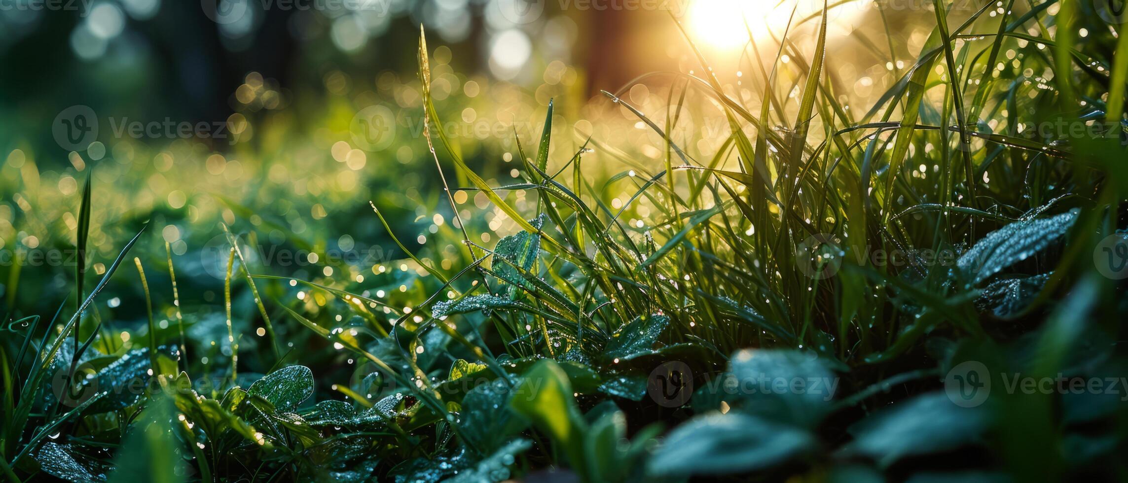 ai gerado a suave manhã luz filtros através uma exuberante tapete do coberto de orvalho Relva foto