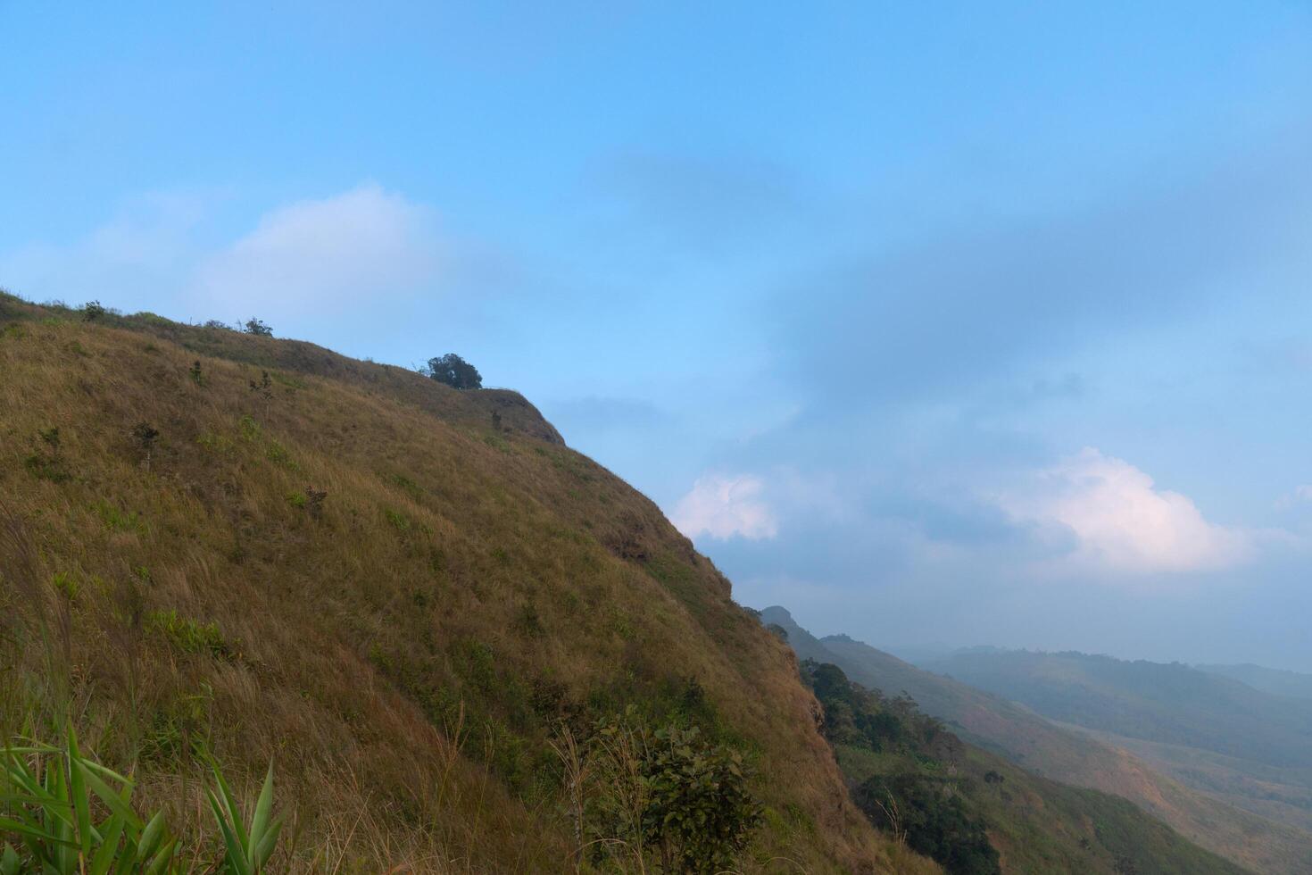 panorama Visão para montanha pico. rota cabeças para a topo da montanha Visão ponto phu langka. às phu Langka phayao província do tailândia. foto