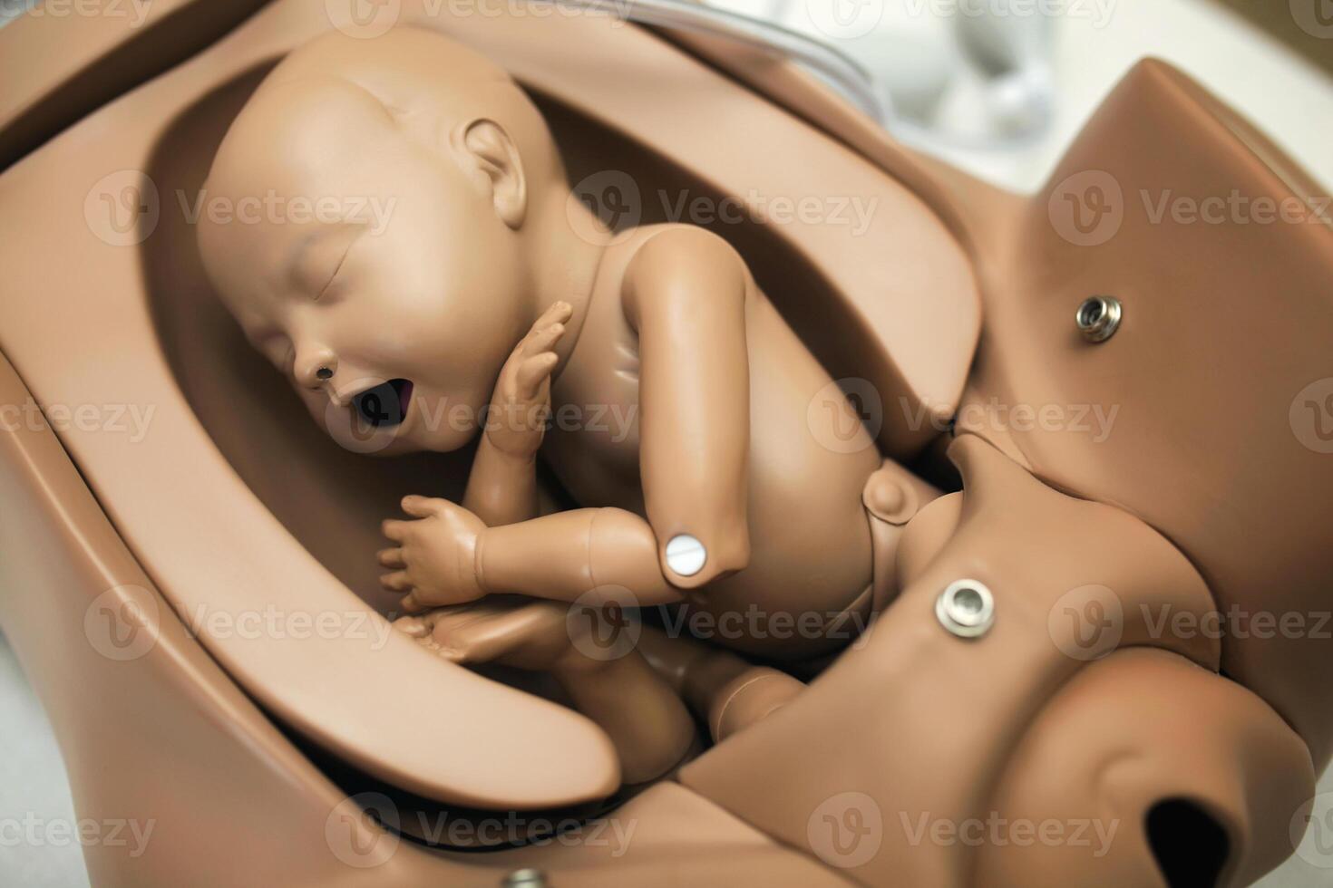 manequim Bêbês embrião mãe útero, prático estude e preliminares tratamento. Medetsinskaya boneca recém-nascido pulmão doença. foto