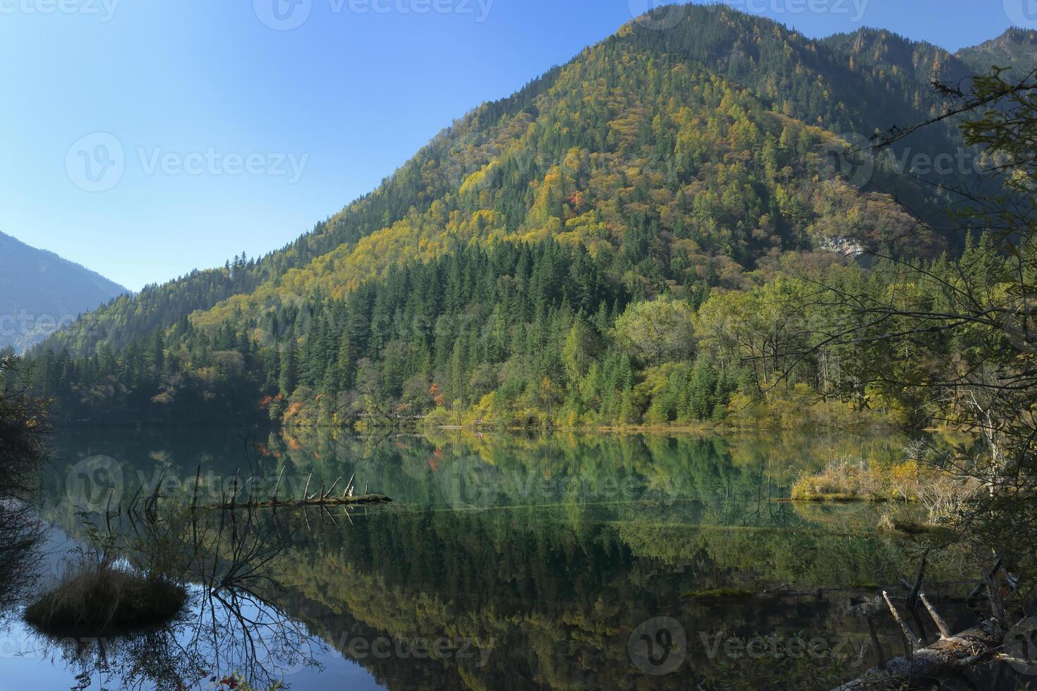 seta bambu lago, reflexões dentro a água, jiuzhaigou nacional parque, sichuan província, China, unesco mundo herança local foto