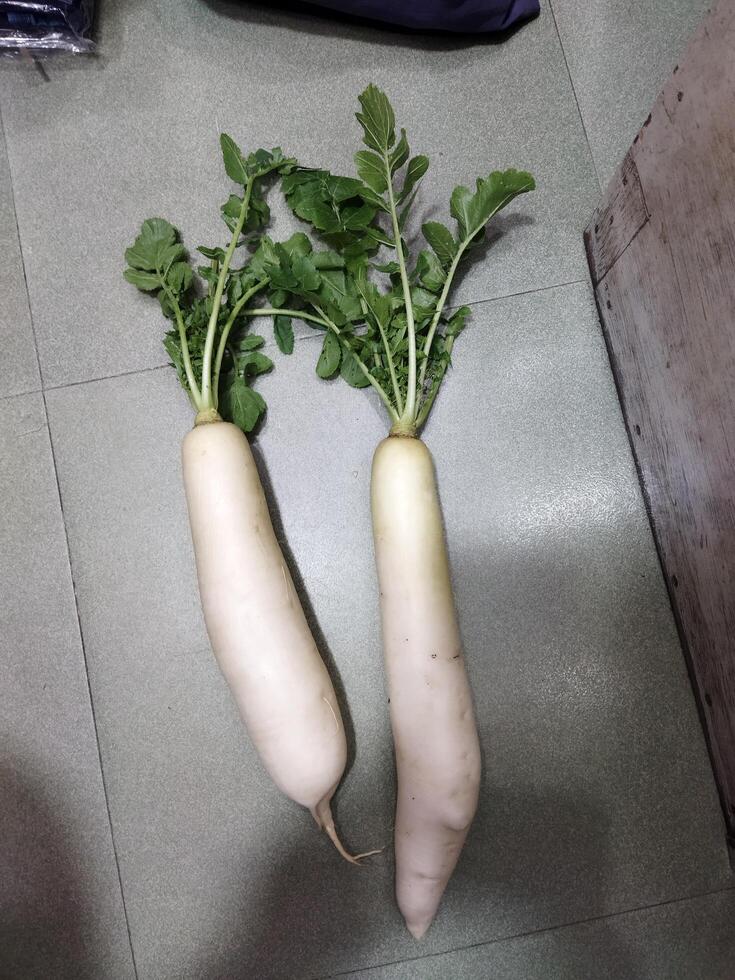 dois branco rabanetes sentado em topo do uma mesa foto