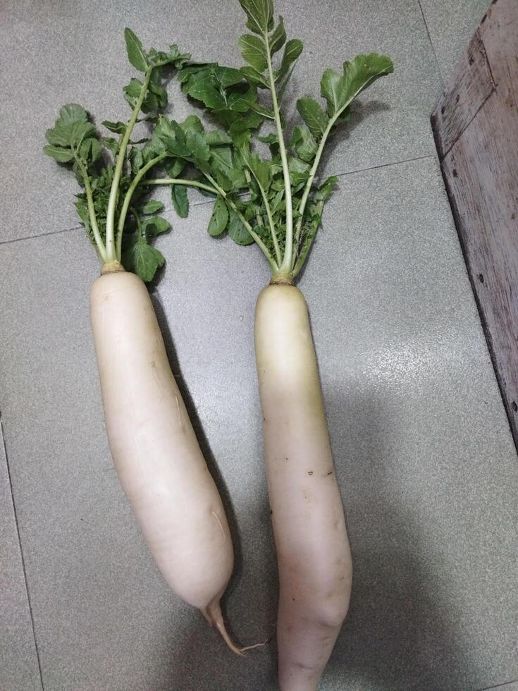 dois branco rabanetes sentado em topo do uma mesa foto