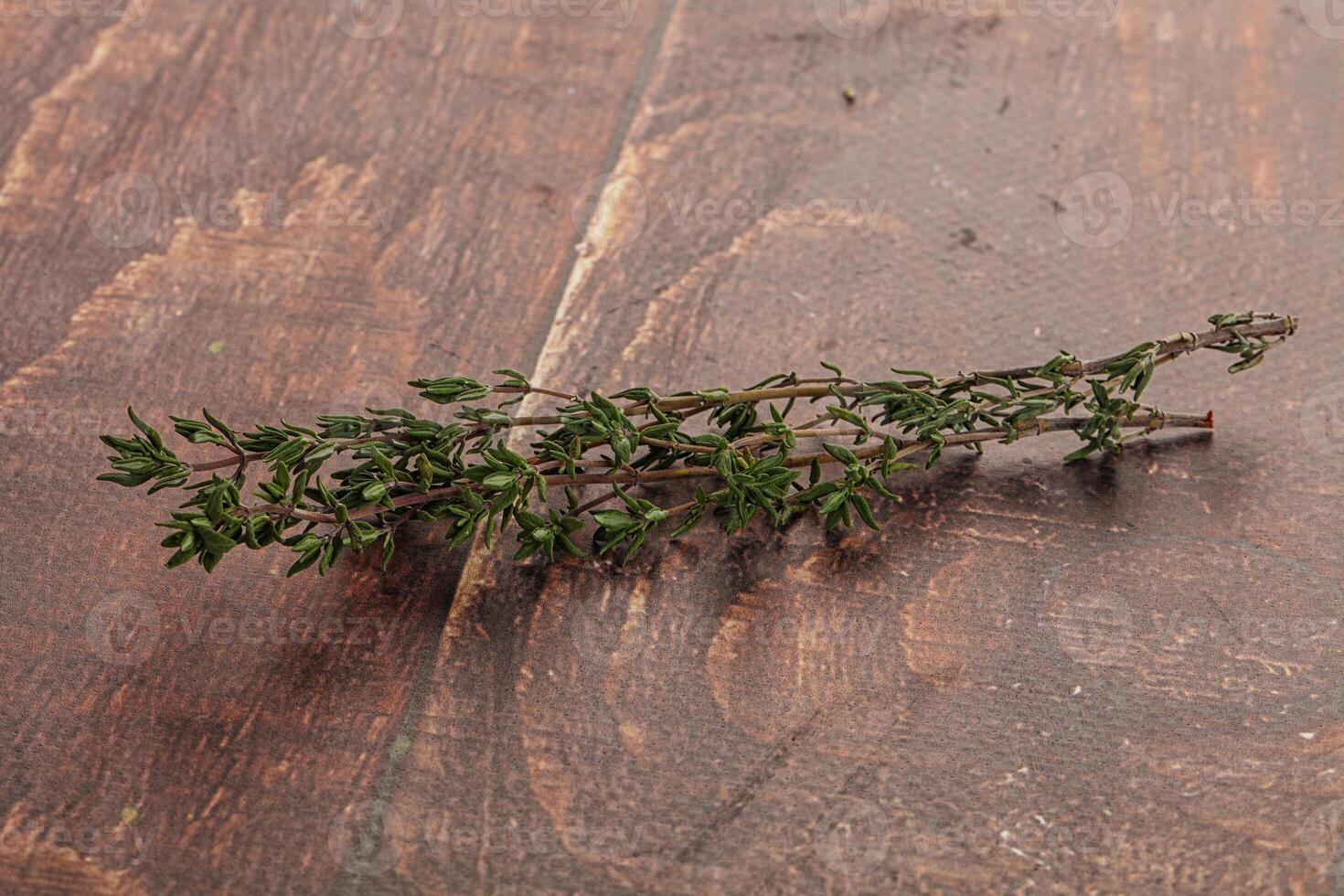 Tomilho - aromático tempero ervas plantar foto