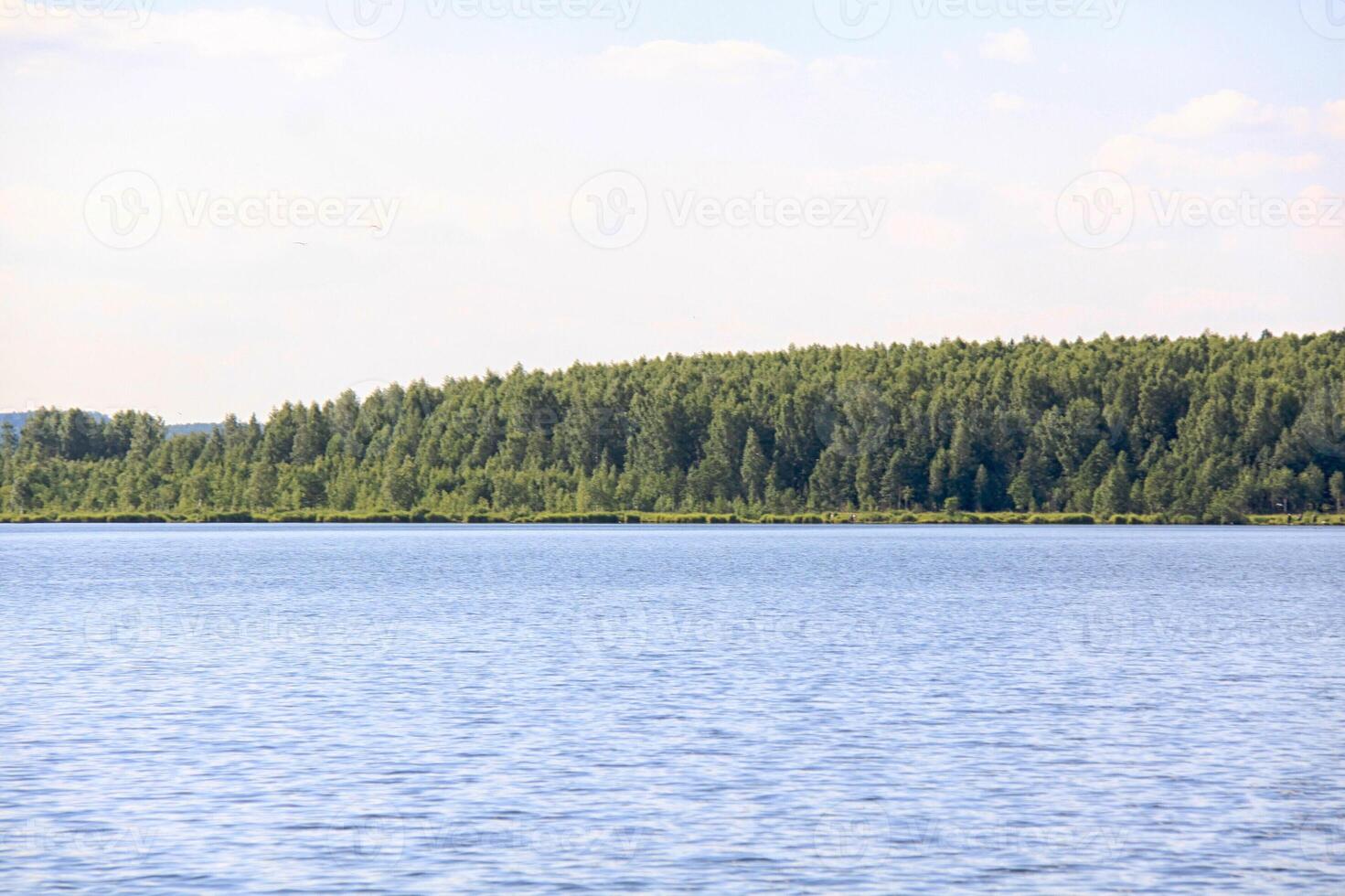 izbulat - lago perto floresta foto