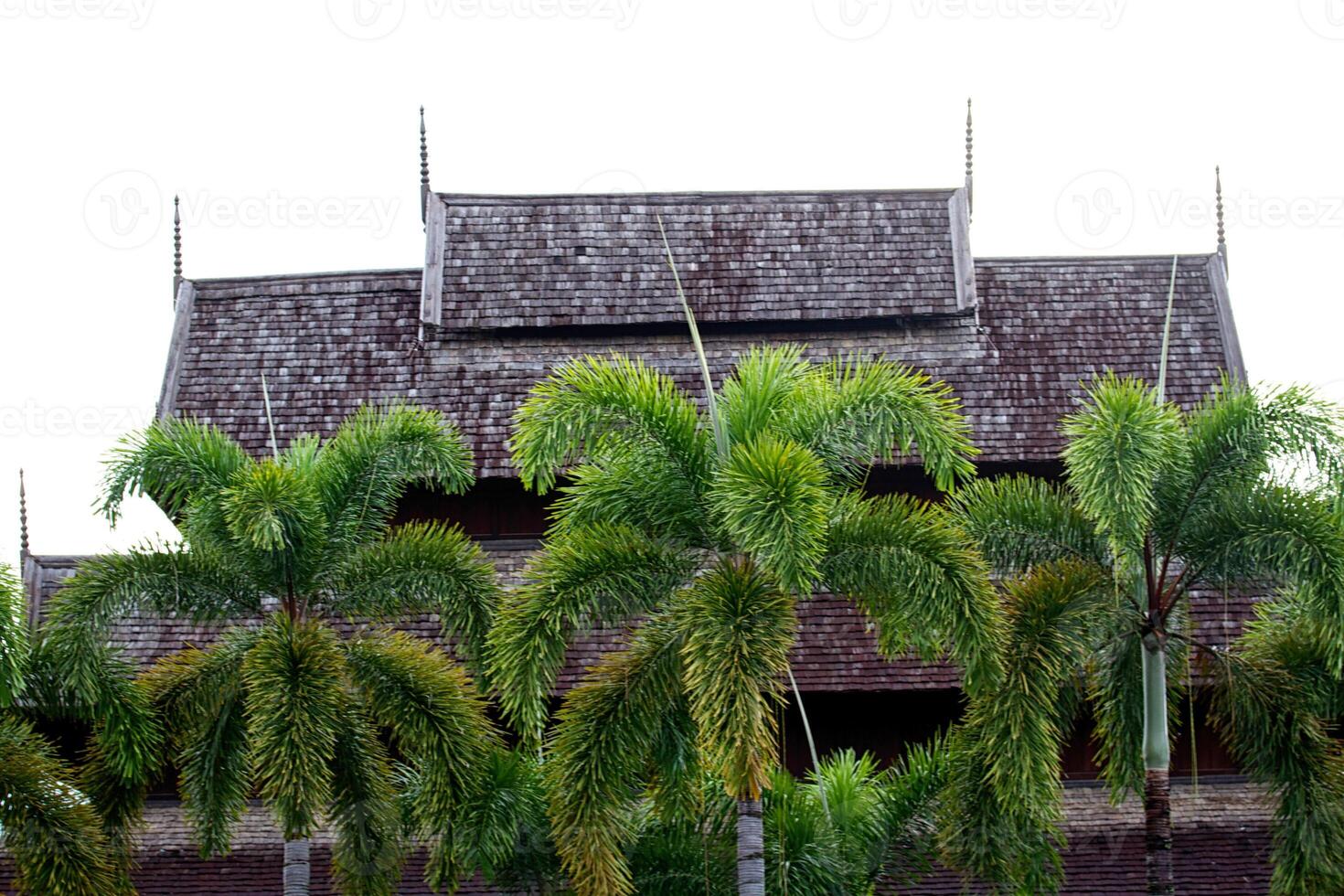 jardim botânico tropical nongnooch, pattaya foto