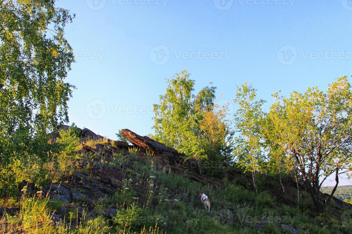 panorama dentro outono tempo. ural montanhas. Rússia foto