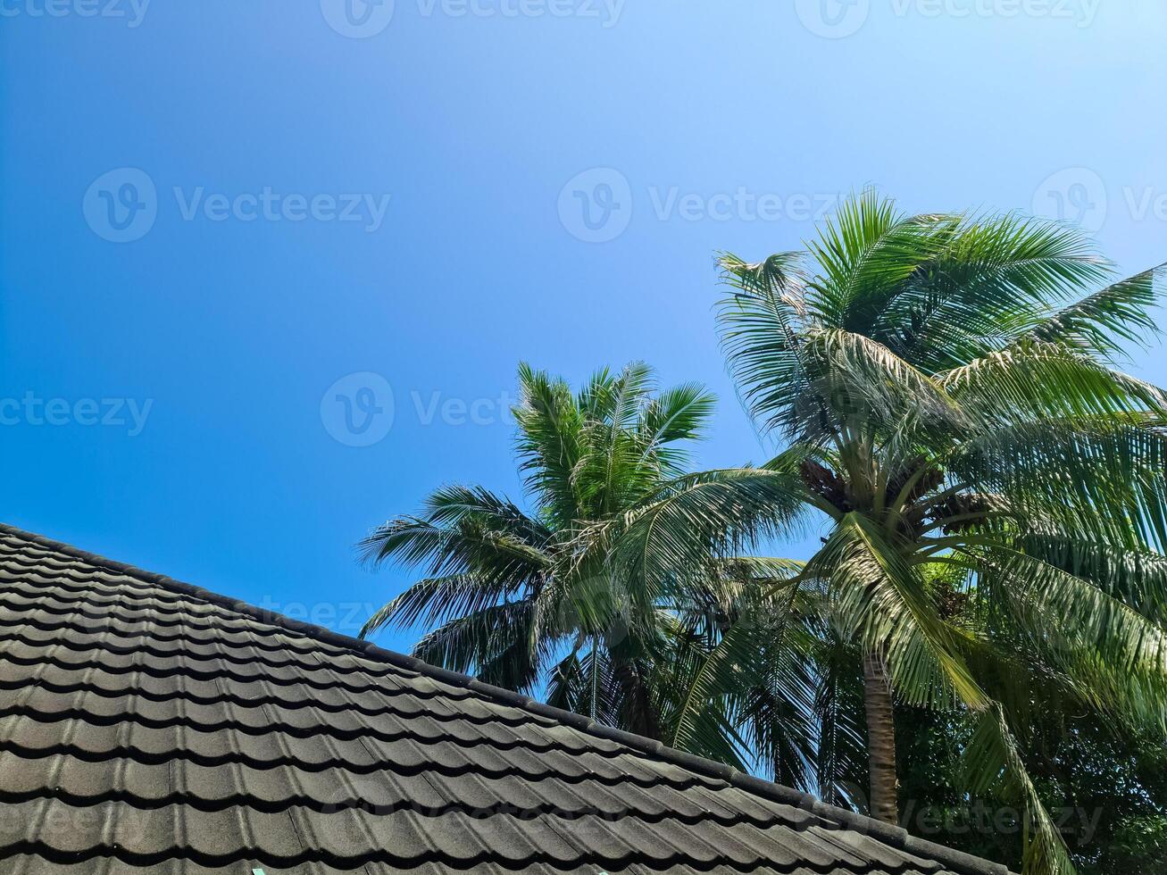 uma cobertura coberto dentro Preto telhas com Palma folhas em a lado contra uma azul céu. foto