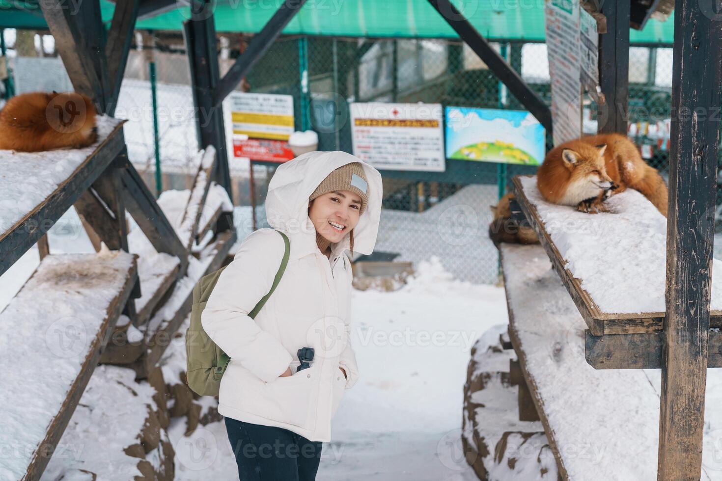 mulher turista com fofa Raposa em neve dentro inverno estação às zao Raposa Vila, viajante passeios turísticos miyagi prefeitura. ponto de referência e popular para atração perto Sendai, tohoku, Japão. viagem e período de férias foto