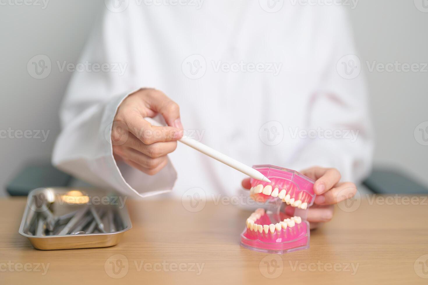 dentista com dente anatomia modelo. oral dentes e doença, raspar fora tártaro. marcha oral saúde, dentista dia, falso dentes. dor de dente e crianças dental saúde mês e ortodôntico saúde dia foto