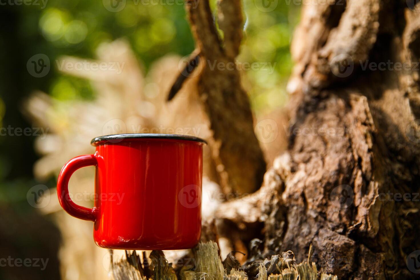 uma vermelho metal caneca carrinhos em uma toco dentro uma floresta ou parque dentro a sombra do árvores em uma ensolarado dia. Alto qualidade foto