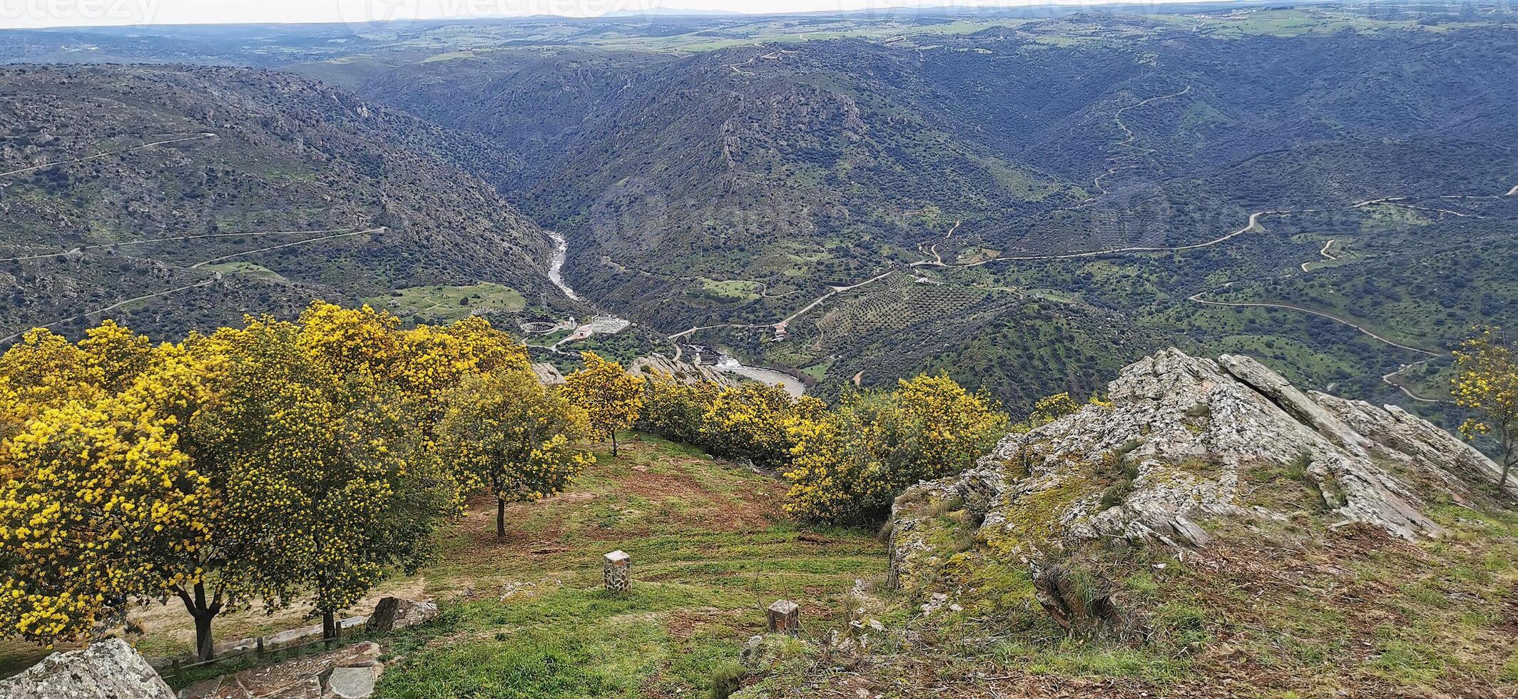 fantástico Visão sobre a douro rio, dentro a nordeste do Portugal. Maravilhoso viagens. foto