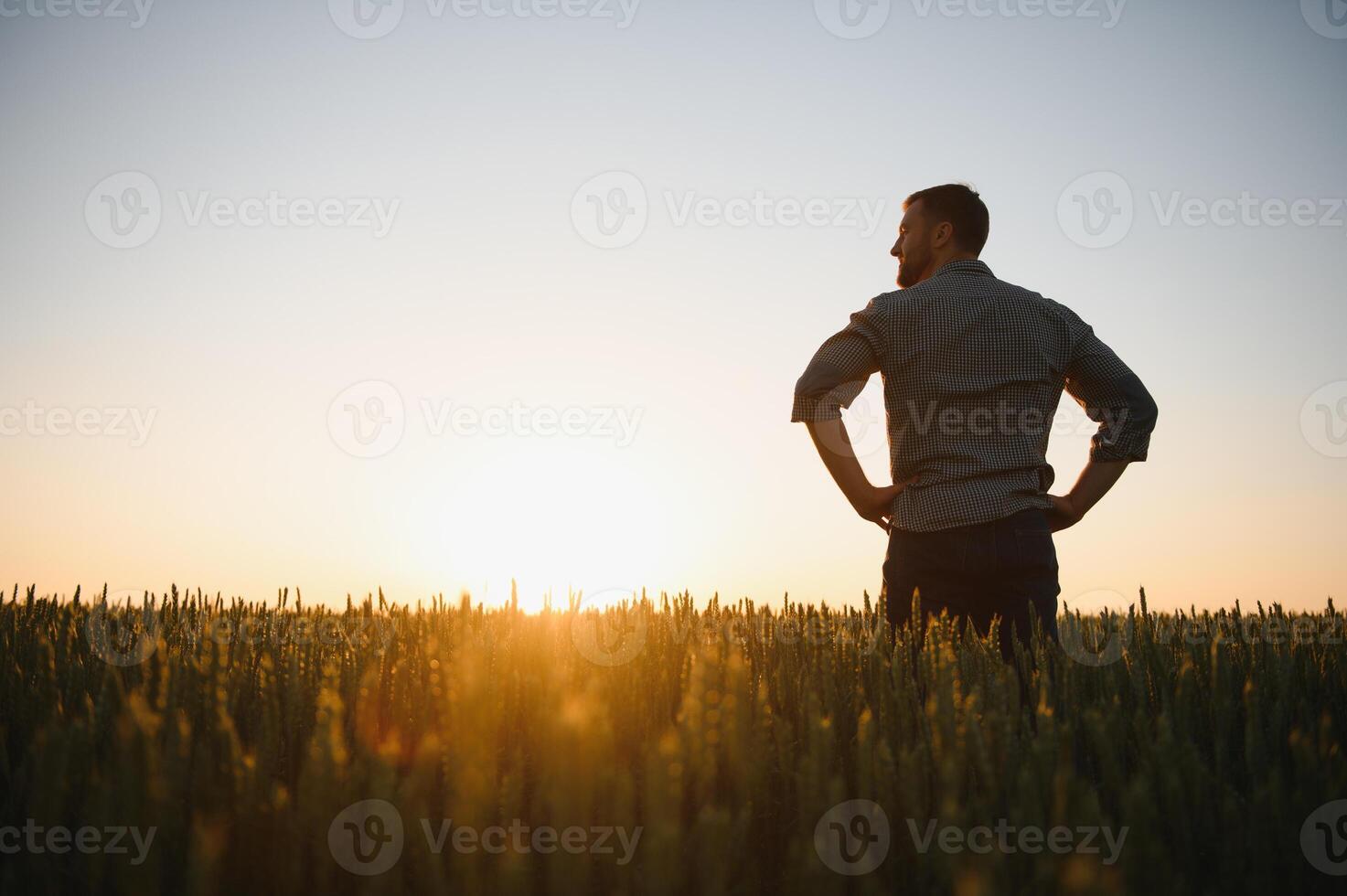 costas Visão do adulto homem agricultor ficar de pé sozinho e Veja às pôr do sol ou nascer do sol dentro céu. cara ficar de pé em trigo campo. maduro colheita tempo. Sol brilha dentro céu foto