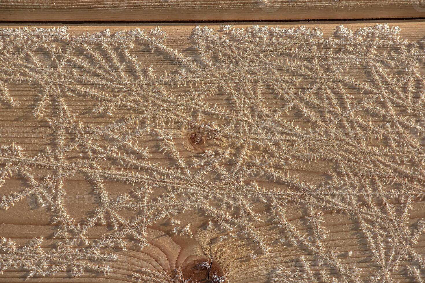 Castanho madeira textura com branco geada padrões. inverno fundo. foto