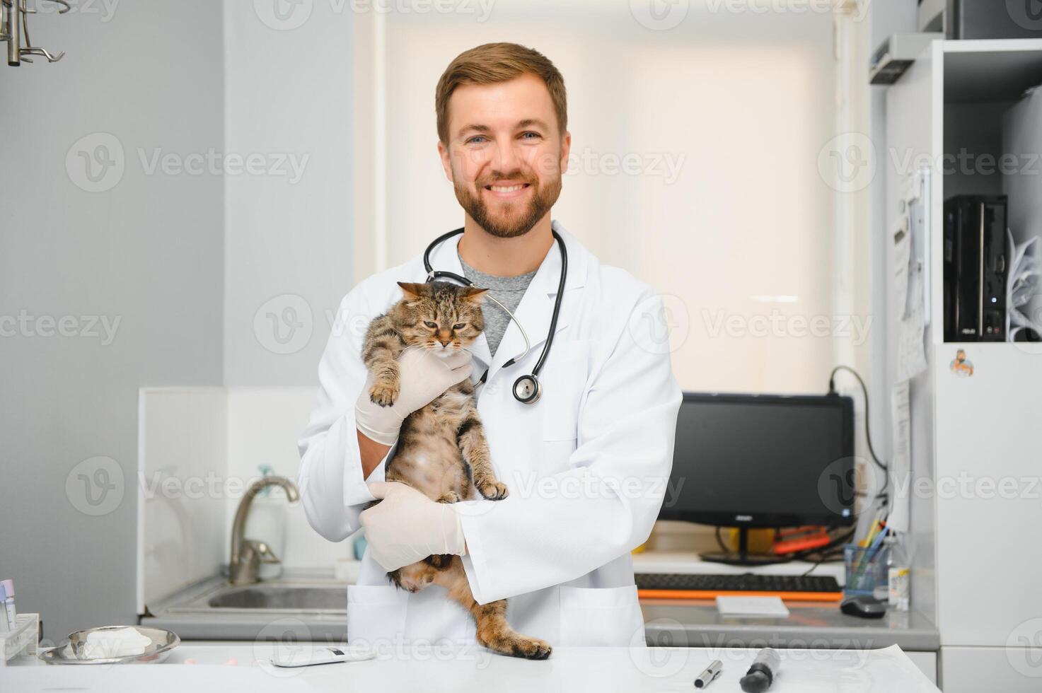 veterinário médico verificação gato às uma veterinario clínica foto