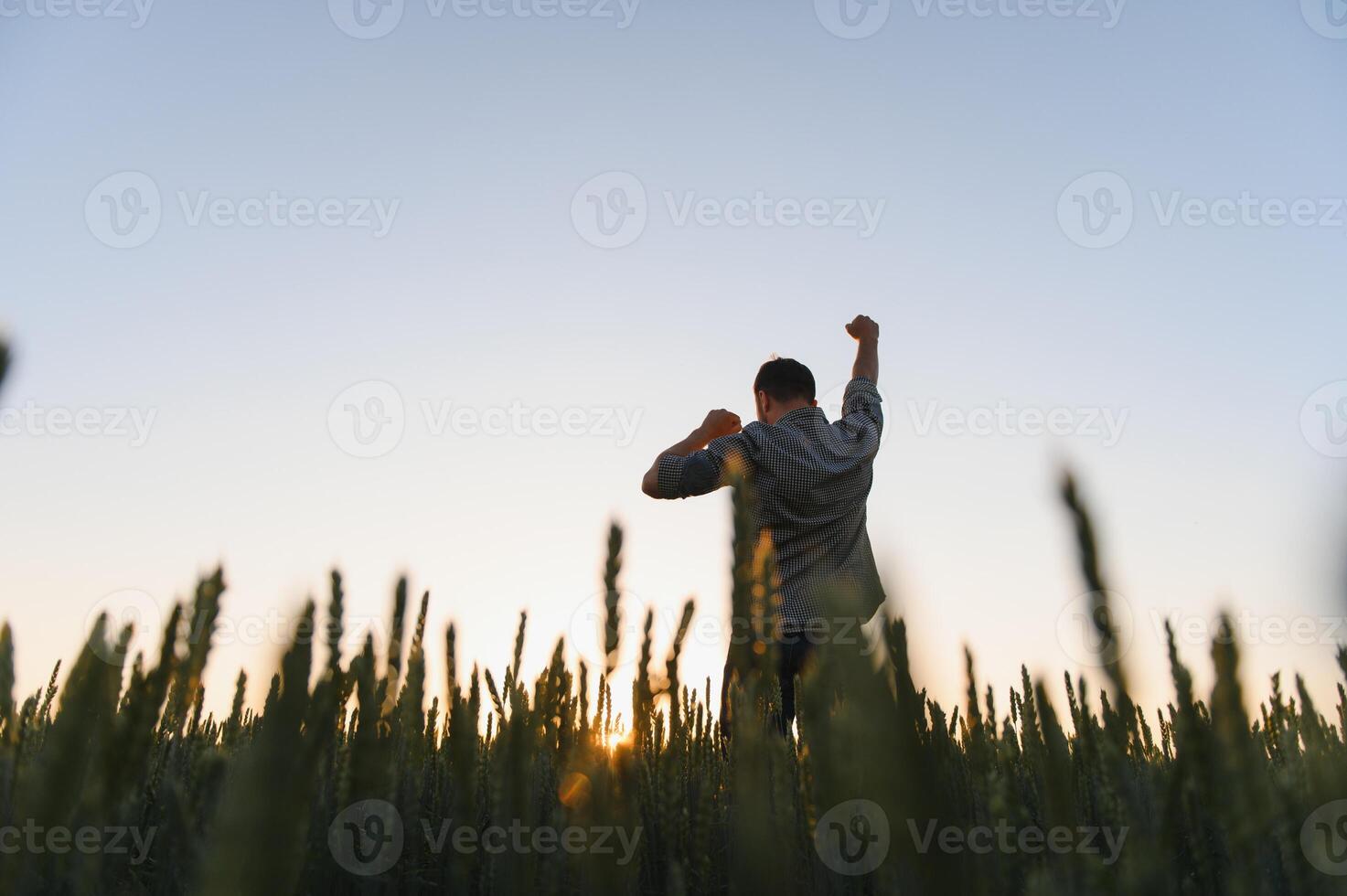 nascer do sol ou pôr do sol cenário do cara com elevado mãos olhando às Sol e desfrutando dia. adulto homem ficar de pé sozinho dentro meio do maduro trigo campo. agricultor ou agrícola cara foto