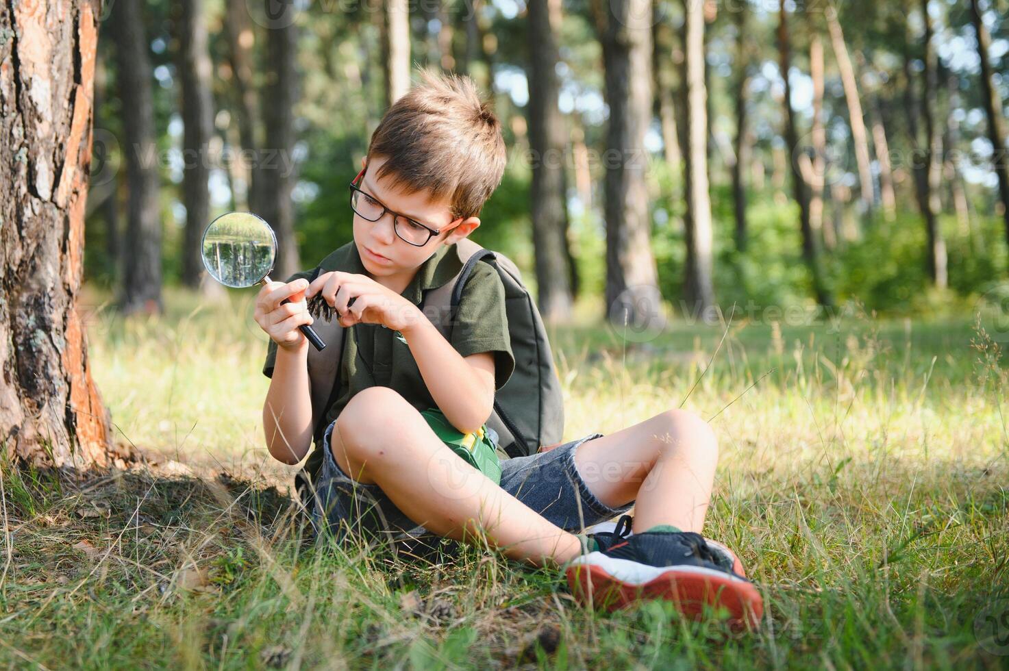 Garoto biólogo ou entomologista estudos natureza. escoteiro dentro a floresta. uma adolescente estudos insetos. biologia. geologia. expedição dentro a floresta foto