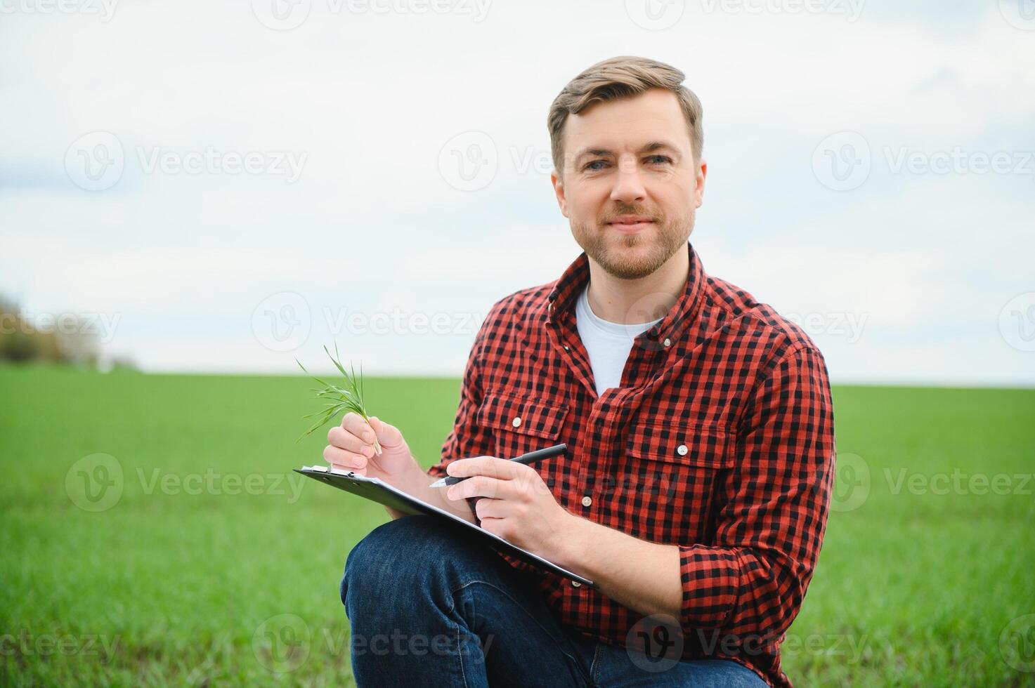 uma jovem agricultor inspeciona a qualidade do trigo brotos dentro a campo. a conceito do agricultura foto