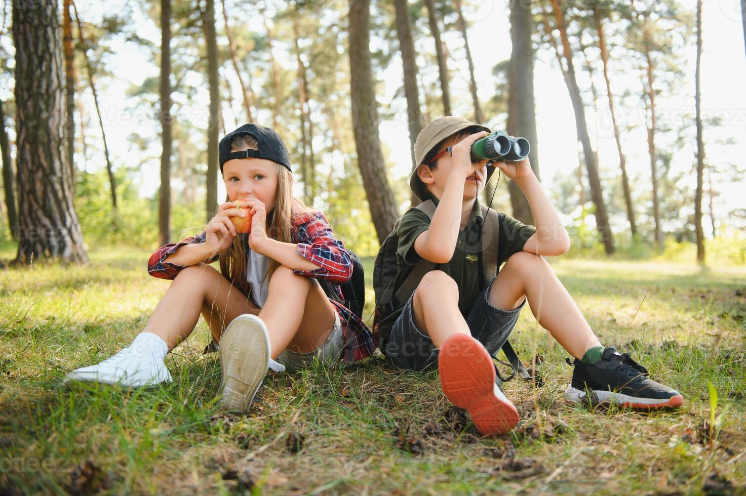 crianças dentro verde floresta jogando, conceito do crianças Férias e viagem foto