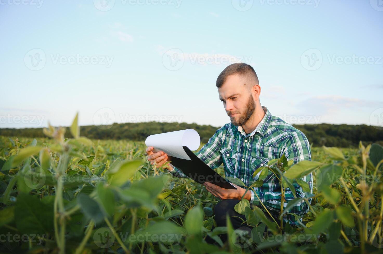 agrônomo inspeciona soja colheita dentro agrícola campo - agro conceito - agricultor dentro soja plantação em Fazenda foto