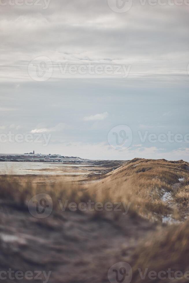 inverno às a dunas dentro Dinamarca foto