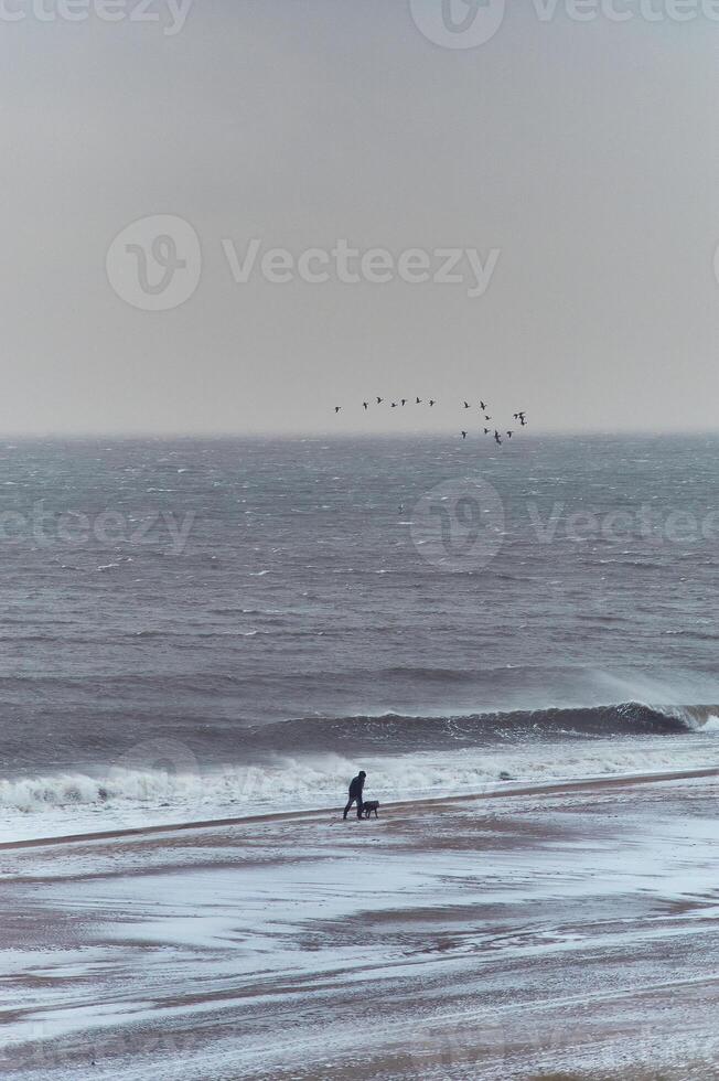 homem caminhando com cachorro às tormentoso mar dentro inverno foto