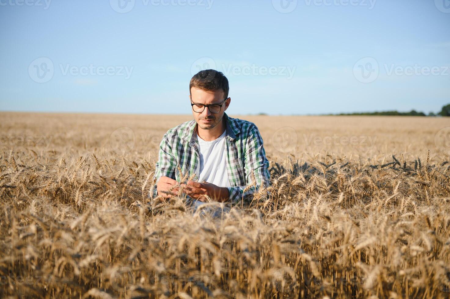 jovem agrônomo dentro grão campo. cereal agricultura foto