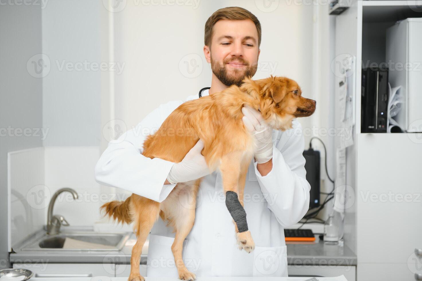 cachorro com Veterinários dentro clínica. foto