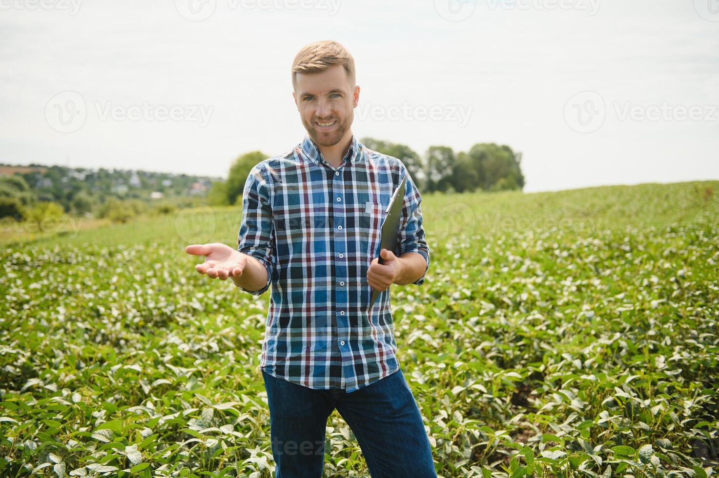 agricultor agrônomo dentro soja campo verificação plantações. orgânico Comida Produção e cultivo foto