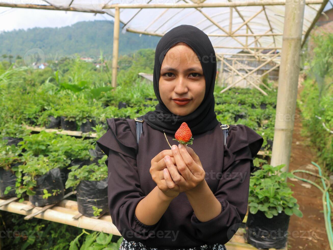 retrato do sorridente jovem mulher colheita fresco morangos às morangos jardim. foto