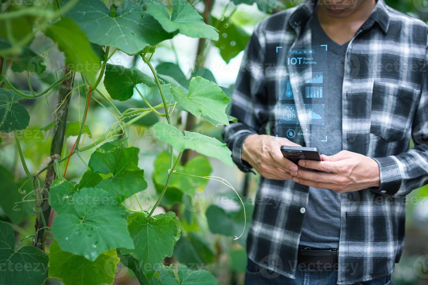 agricultura e moderno tecnologia agricultor usando inteligente agricultura tecnologias usando ai Verifica a crescimento do legumes e frutas com inteligente Fazenda tecnologia foto