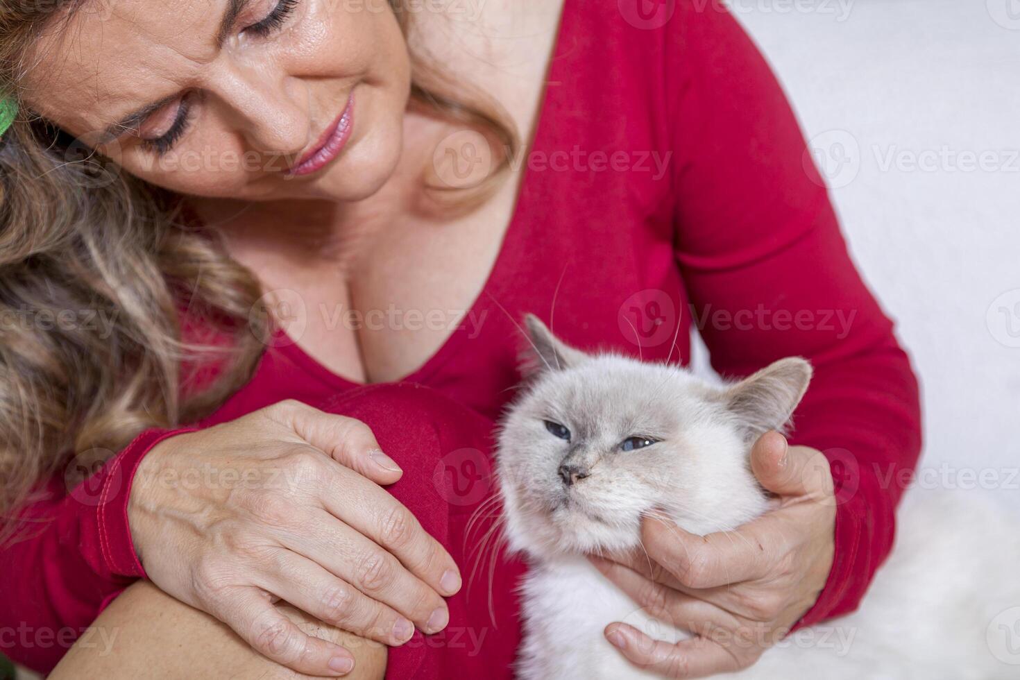 lindo senhora com bobes acariciando a gato em a sofá foto