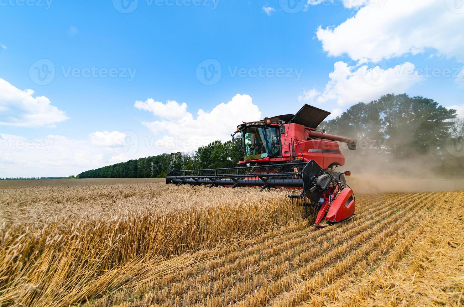 colheitadeira trabalhando em um campo de trigo foto