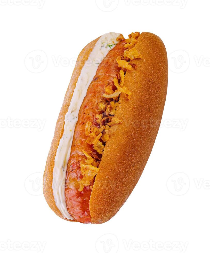 quente cachorro com salsicha, maionese, e frito cebolas foto