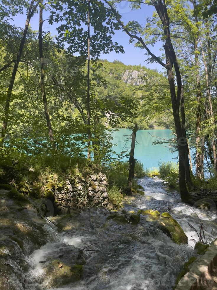 lago dentro plitvice nacional parque foto