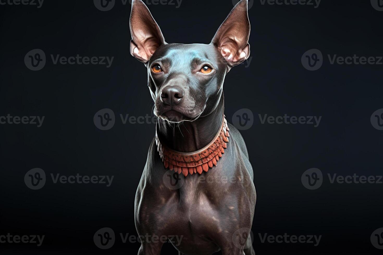 ai gerado xoloitzcuintli nu mexicano cachorro em uma Preto fundo. ai arte foto