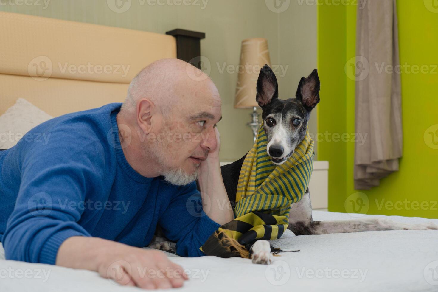 uma maduro homem e dele galgo pose em a cama, foto