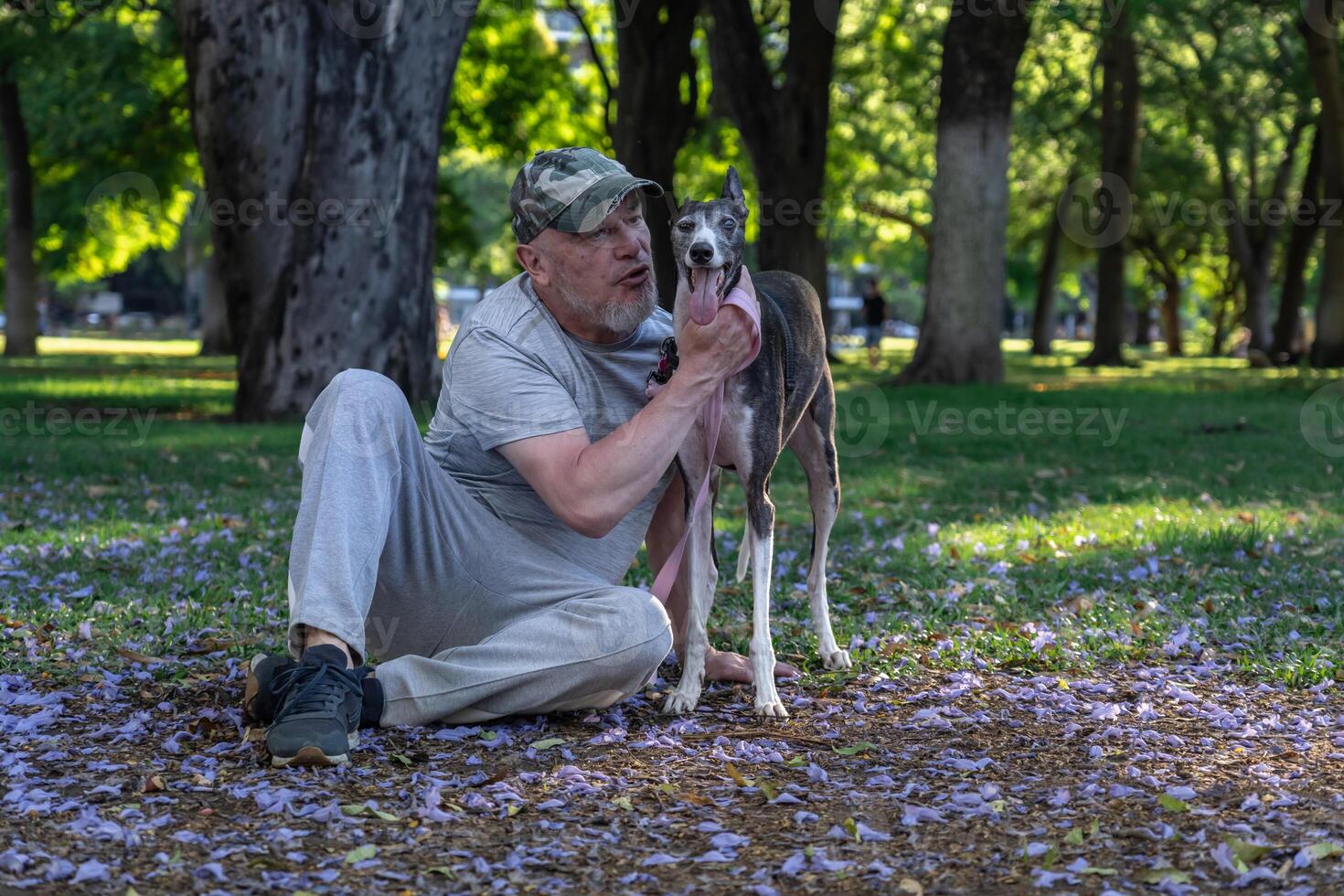 maduro adulto masculino com galgo cachorro ao ar livre foto